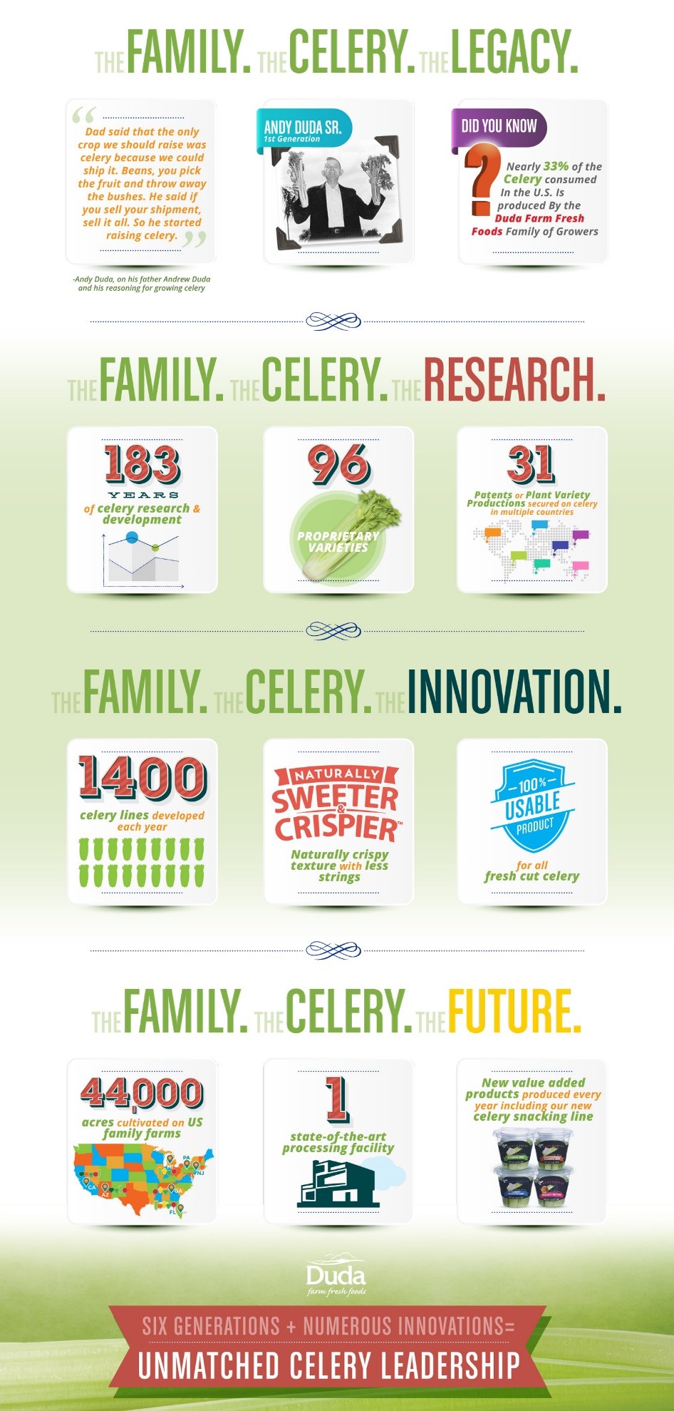 The Family. The Celery. Infographic
